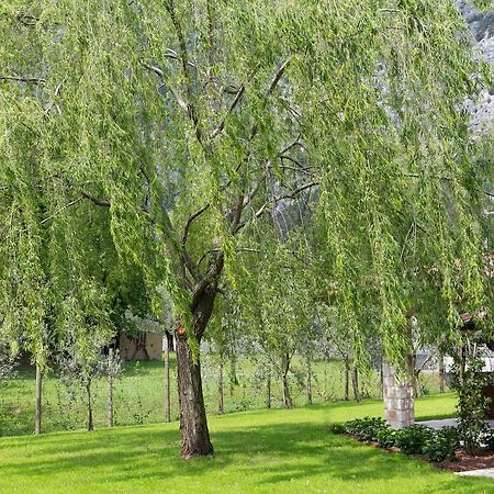 B&B Ai Colli Dro Exteriör bild